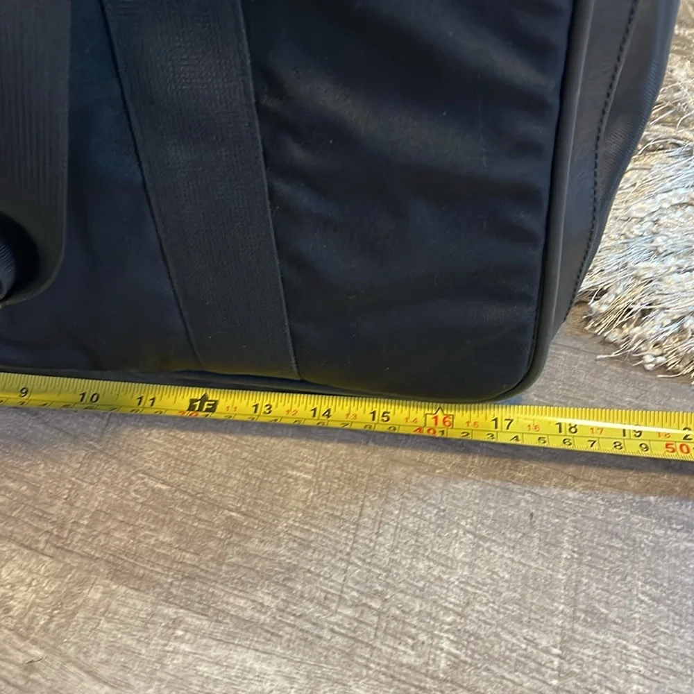Gucci dog carrier/tote